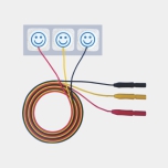 prewired electrode